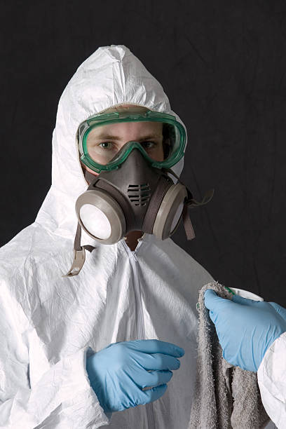 Asbestos and Lead Testing During Mold Inspection in Pikeville, KY